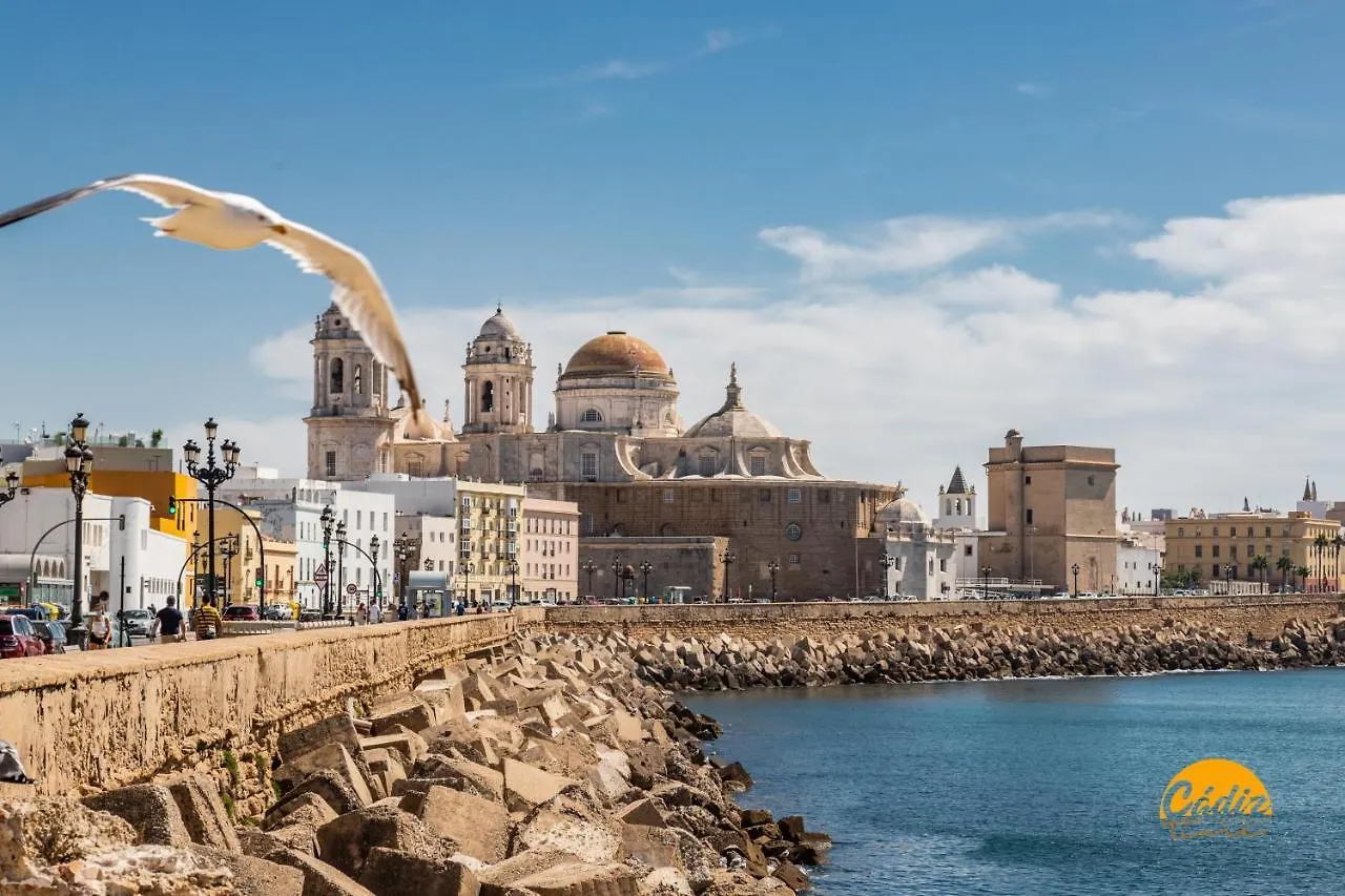 Mirador De La Vina Free Parking By Livework Apartment Cadiz